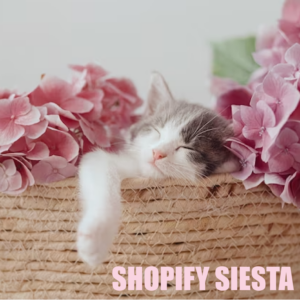 Shopify Siesta